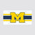 Color Shock Michigan Wolverines Colored Metal License Plate Vehicle Mounts & Holders